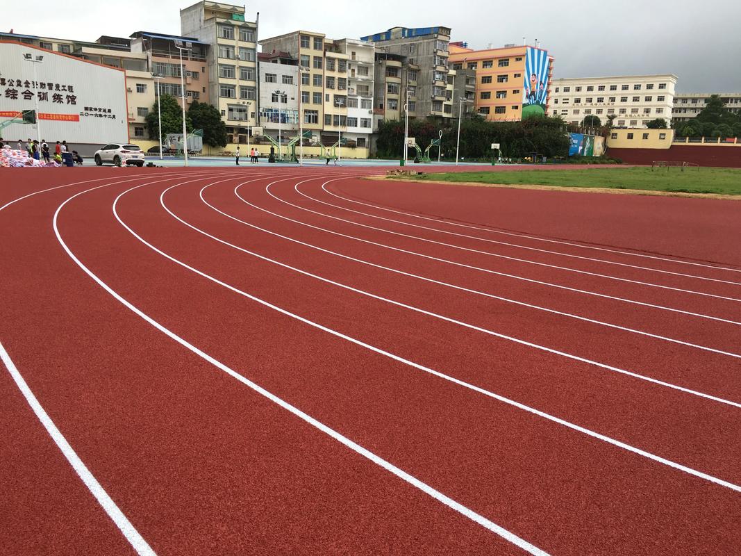 红河哈尼族彝族自治州塑胶跑道塑胶跑道材料 - 排名